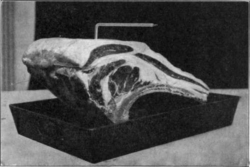 Cooking Of Frozen Meat 48