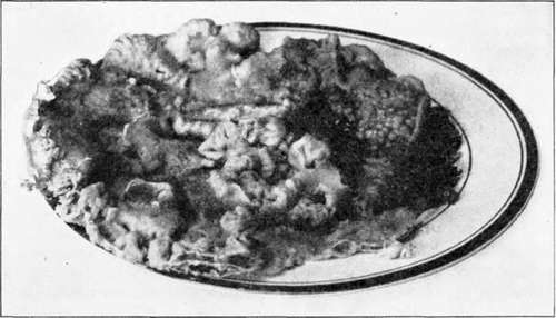 Kinds Of Sugar Used In Jelly 43
