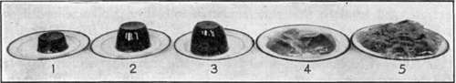 The Role Of Sugar In Jelly Formation 42