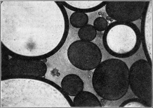 The Type Of Emulsion Formed 54