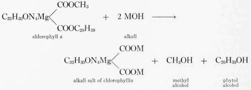 isochlorophyllins