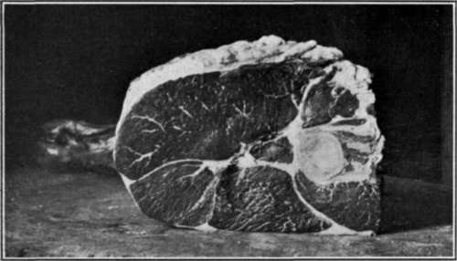 Beef Round