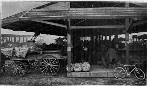 City Market