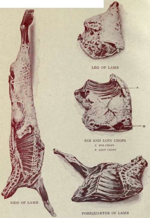 Loin Of Beef