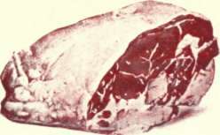 Plate E New York Cuts