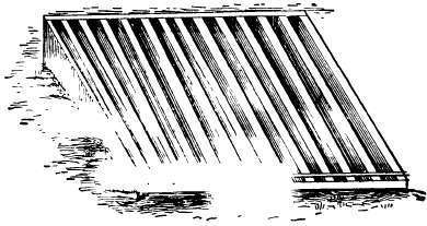 Hot bed frame, covered   with  lath frame later in the season