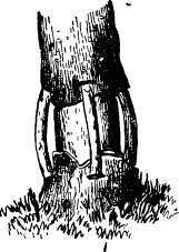 Saving girdled trees