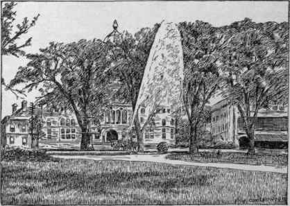 Spraying park trees with the machine shown in Fig. 1334.