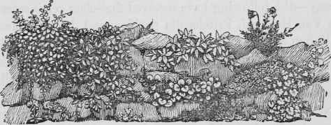 The Construction Of Rock Gardens 40011