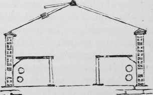 Winter Flowering Orchids Odontoglossums 7001