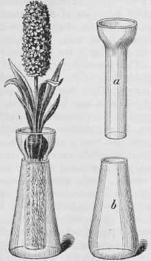 Double Bulb Glass.