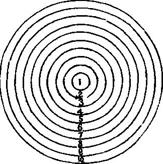 Diagram Of Flower Bed.