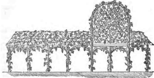 Arbors 300150