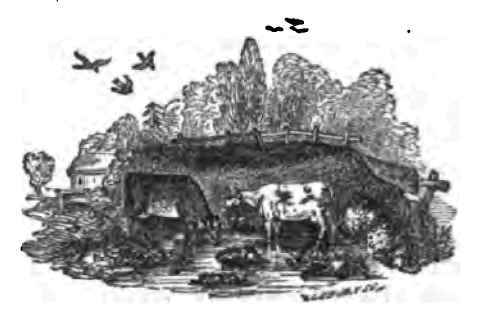 Basement 400116