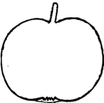 Early May Apple.