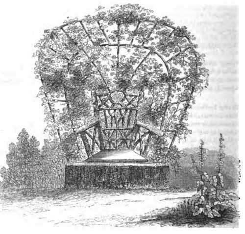 An Ivy Covered Rural Seat 500108