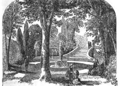 A Pleasing Scene 14006