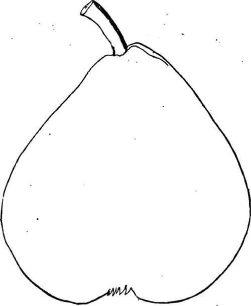 Calebasse Delvigne.