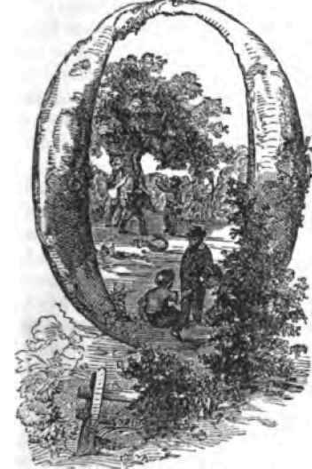Orchard Houses 150076