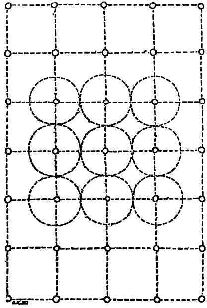 PLANTATION IN SQUARES.