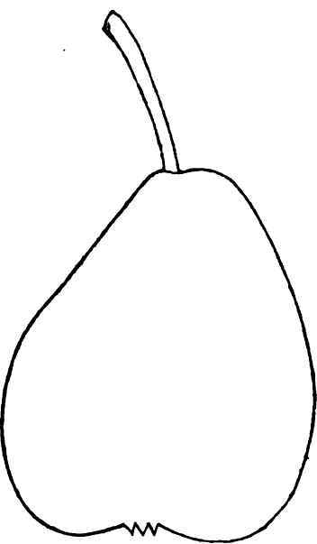 PULSLFER PEAR.