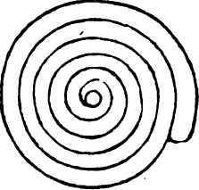To Form A Volute Where The Border Is Of Equal Brea 40073