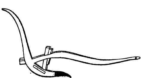 A Cuban plough!.