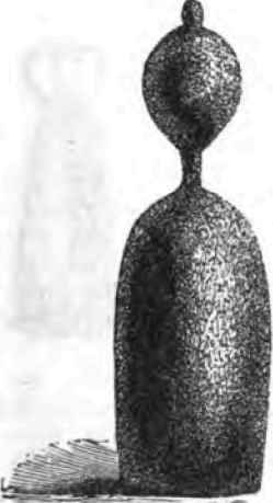 OSAGE ORANGE.