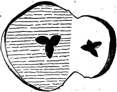 On The Union Of Embryos From The Gardeners Chronic 1100109