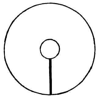 The Stuyvesant Pear Tree 140032