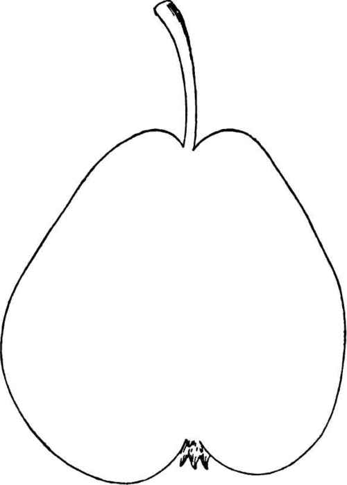 VAN ASSCHE PEAR.