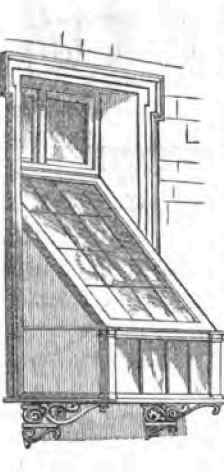 Window Gardening And Plant Cases 300103