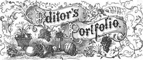 Blight And Open Exposure 280076