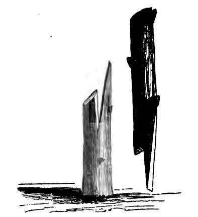 Side Grafting 230011