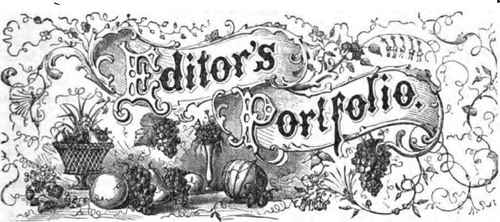 The King Of Strawberries 280018