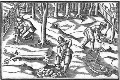 The Old Gardeners Book 1200170