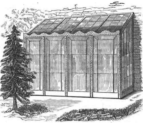 Botanical Explorers 130011