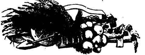 Carriage House And Stable For A Small Cottage 110083