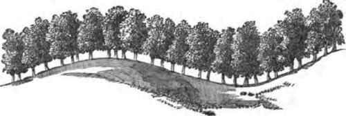 November New Books Horticultural Review 1300135