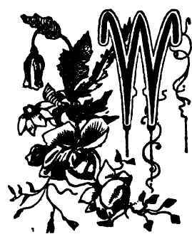 The Central Park No 1 1500119