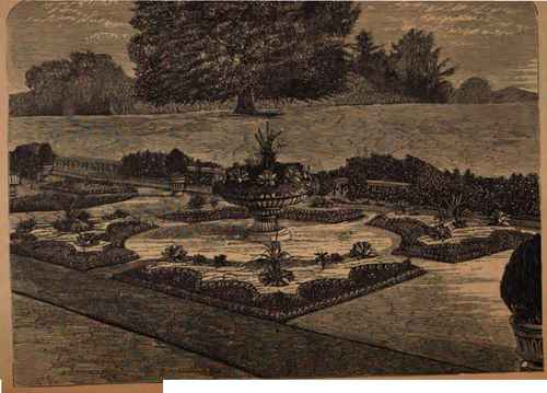 SKETCH OF AN ENGLISH CARPET GARDEN.