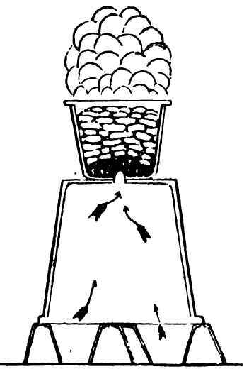 Fumigating Plant Houses 30038