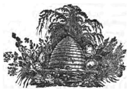 Grape And Wine Culture In Los Angeles California 160056