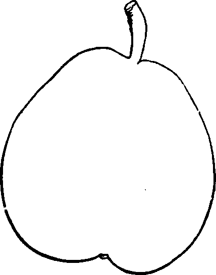 Doyenne gris d'hiver Nouveau.