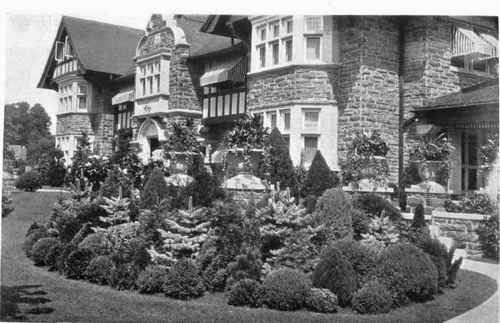 AN INCORRECT BASE PLANTING Fig. 83. popular practice today is the use of a miscellaneous assortment of evergreens in beds close to the house. See page 85.