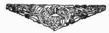 Insect Pests 119