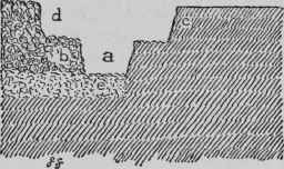 Trenching Soil.