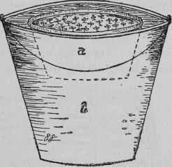 Watering Seedlings by Immersion.