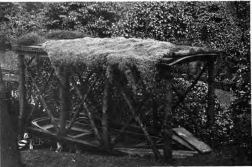 A Boat Shelter With Cerast1um On Roof