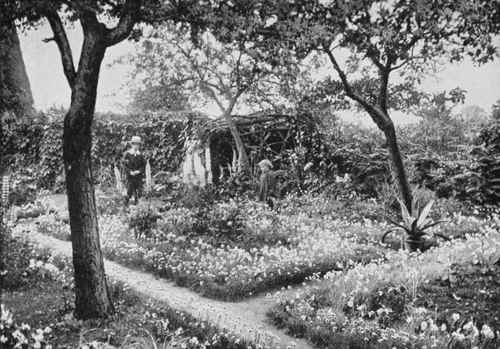 Beautiful borders of thrift and pinks.
